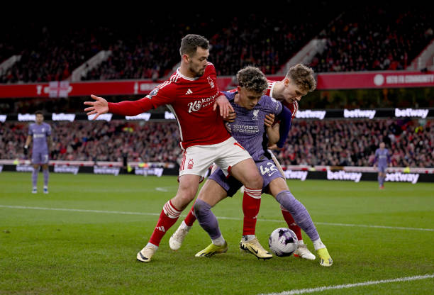 任何欧洲球 任何欧洲球